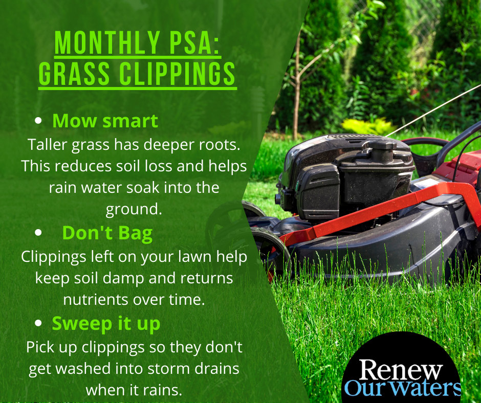 5_May PSA 2_Grass clipping