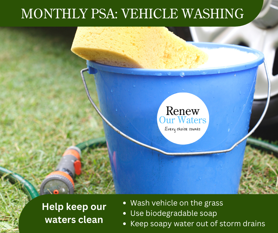 7_July PSA 1_Vehicle Washing