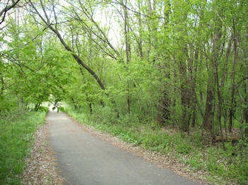 old_stone_bridge_wooded