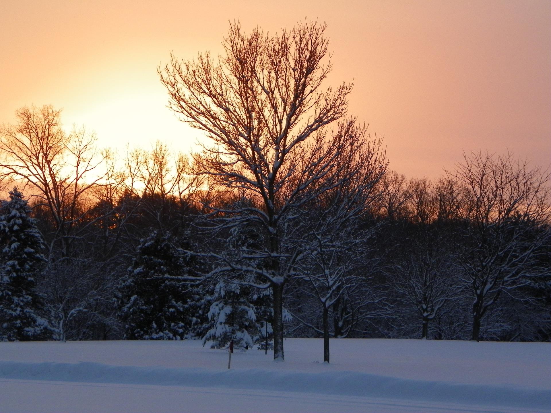 Winter at Plamann Park