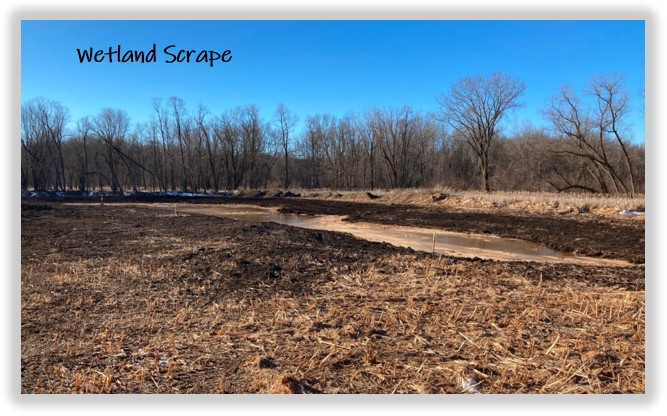 Wetland Scrape Button