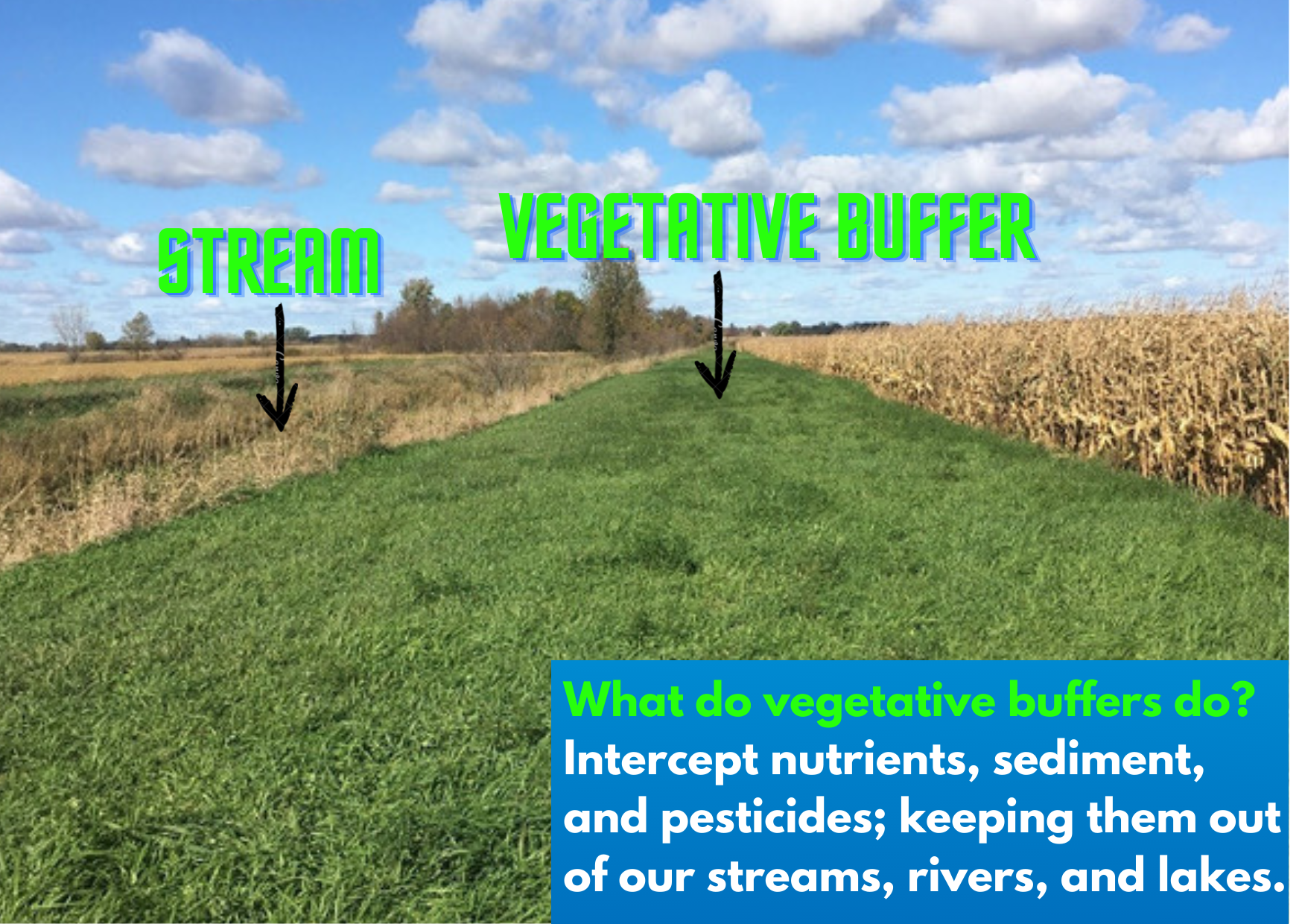 Simple Field Plants Quote Sympathy Card (1)